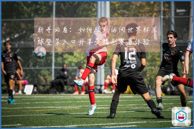 新手必看：如何顺利访问世界杯买球登录入口并享受精彩赛事体验