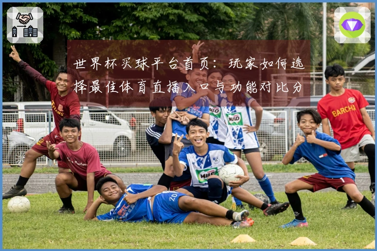 世界杯买球平台首页：玩家如何选择最佳体育直播入口与功能对比分析