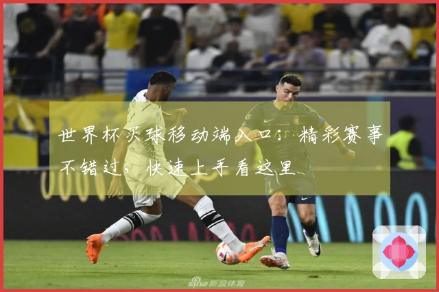 世界杯买球移动端入口：精彩赛事不错过，快速上手看这里