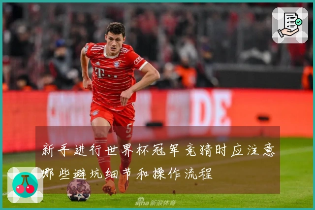 新手进行世界杯冠军竞猜时应注意哪些避坑细节和操作流程