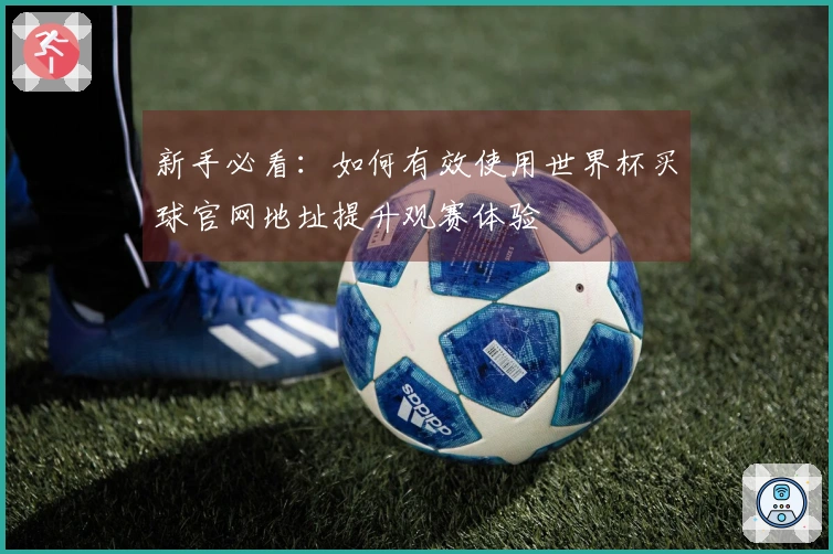 新手必看:如何有效使用世界杯买球官网地址提升观赛体验