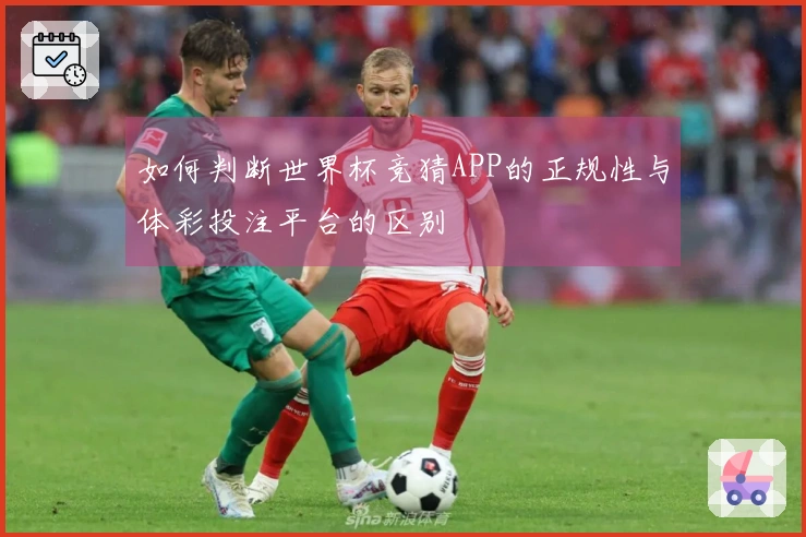 如何判断世界杯竞猜APP的正规性与体彩投注平台的区别