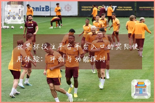 世界杯投注平台平台入口的实际使用体验：评测与功能探讨