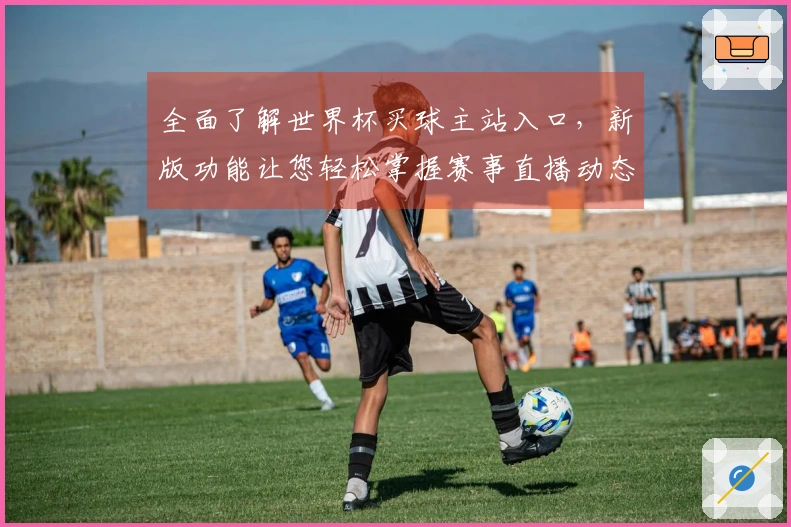 全面了解世界杯买球主站入口，新版功能让您轻松掌握赛事直播动态