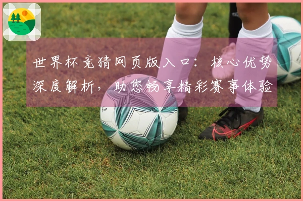 世界杯竞猜网页版入口：核心优势深度解析，助您畅享精彩赛事体验