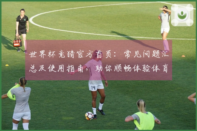 世界杯竞猜官方首页：常见问题汇总及使用指南，助你顺畅体验体育直播