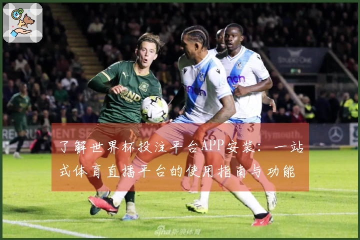 了解世界杯投注平台APP安装：一站式体育直播平台的使用指南与功能特点
