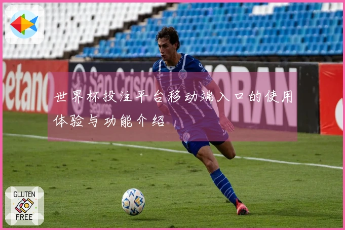 世界杯投注平台移动端入口的使用体验与功能介绍