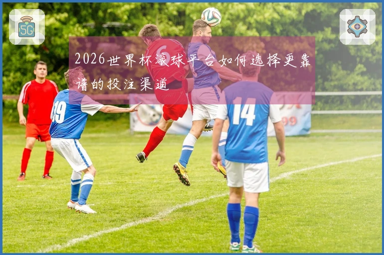 2026世界杯滚球平台如何选择更靠谱的投注渠道