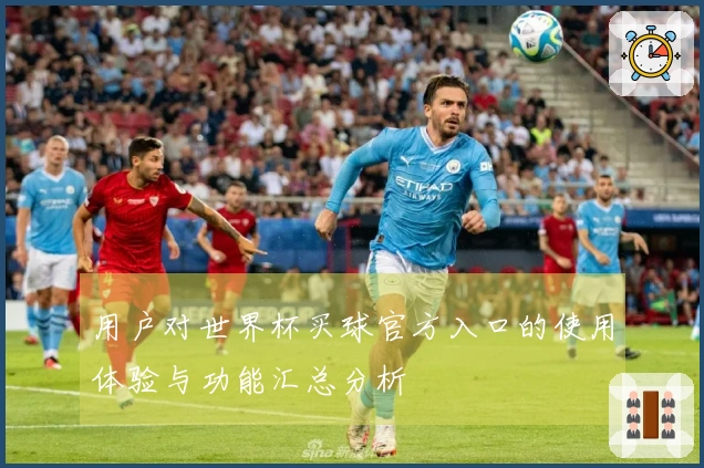 用户对世界杯买球官方入口的使用体验与功能汇总分析