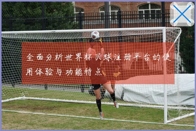 全面分析世界杯买球注册平台的使用体验与功能特点