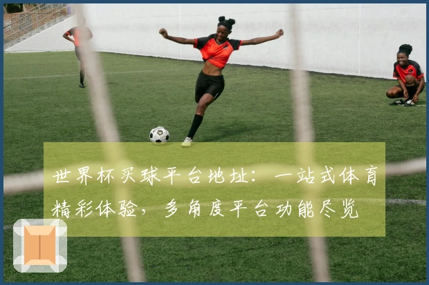 世界杯买球平台地址：一站式体育精彩体验，多角度平台功能尽览