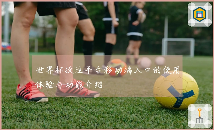 世界杯投注平台移动端入口的使用体验与功能介绍