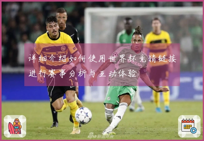 详细介绍如何使用世界杯竞猜链接进行赛事分析与互动体验