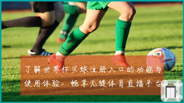 了解世界杯买球注册入口的功能与使用体验，畅享无缝体育直播平台