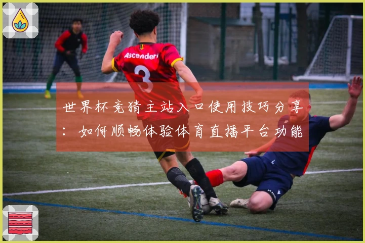世界杯竞猜主站入口使用技巧分享：如何顺畅体验体育直播平台功能