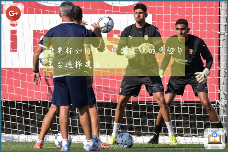 世界杯如何下注时需关注的风险与平台选择建议